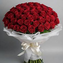 Букет 101 Красная роза Блэк Мэджик в Шангале