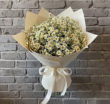 Букет цветов из:  Ромашки #REPLACE_PRED# Шангале