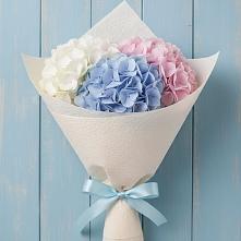 Букет цветов из:  Гортензия в Шангале