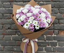 Букет цветов из:  Хризантемы #REPLACE_PRED# Шангале