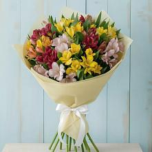 Букет цветов из:  Альстромерии в Шангале