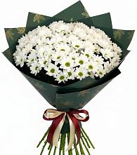 Букет цветов из:  Хризантемы #REPLACE_PRED# Шангале