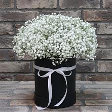 Цветочная композиция из Гипсофила в шляпной коробке в Шангале