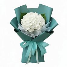 Букет цветов из:  Гортензия в Шангале